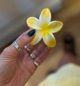 Pinces à cheveux Fleur Hawaiienne