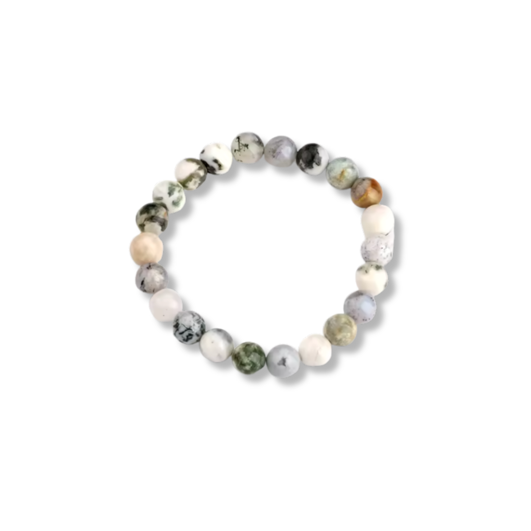 PHARMACY TREE AGATE