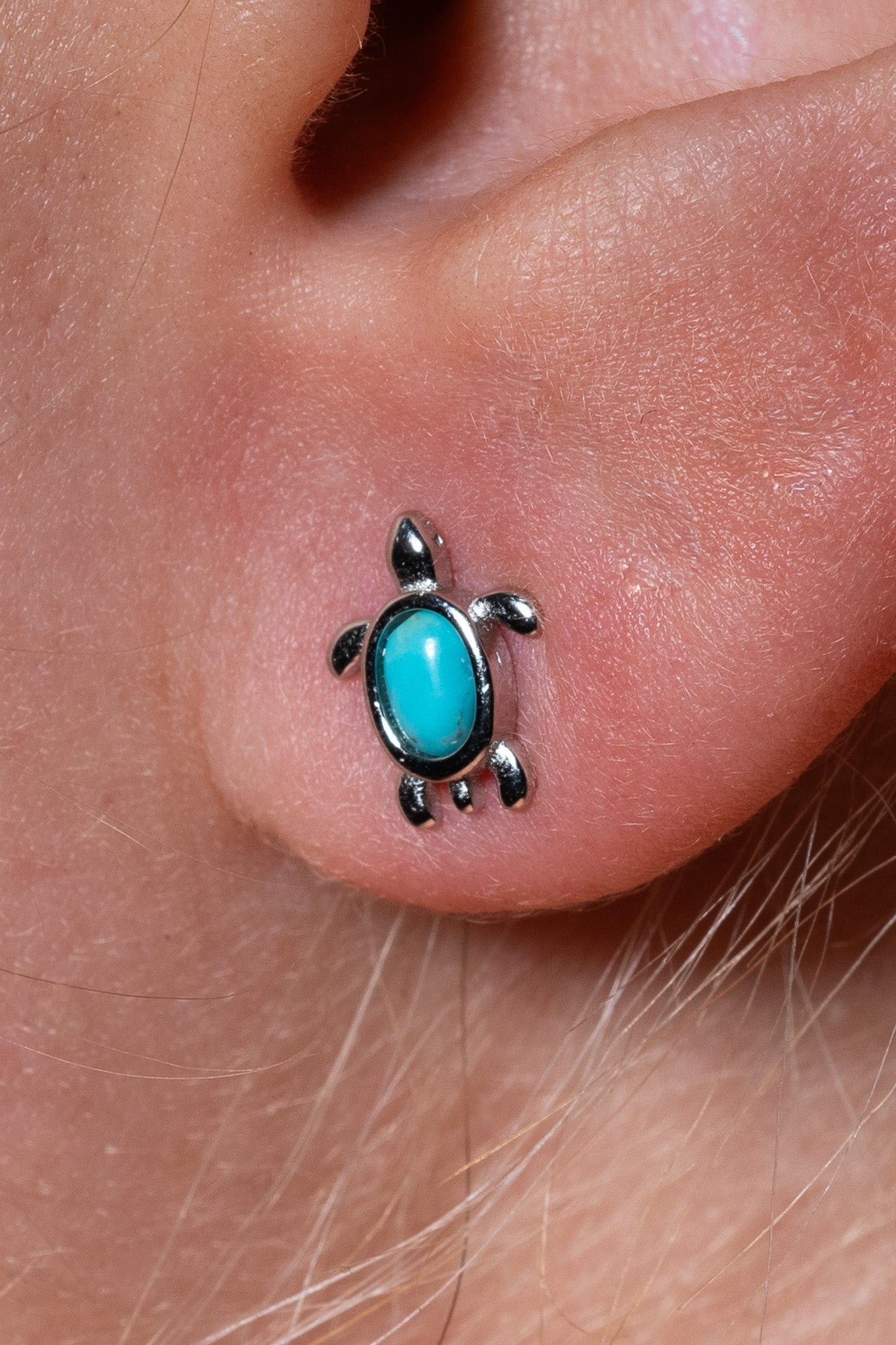 Boucle d'oreilles Tortue