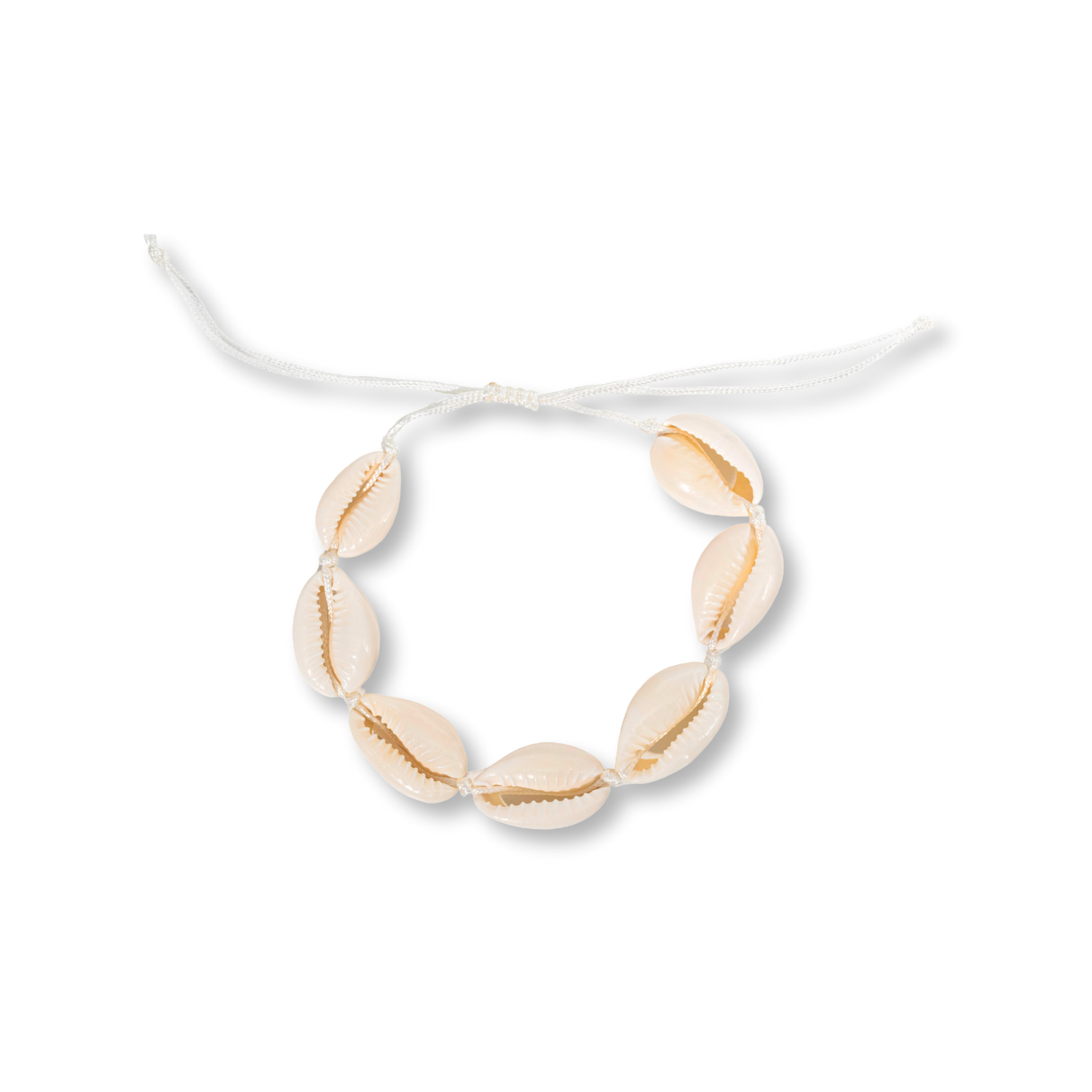 Bracelet Cowrie