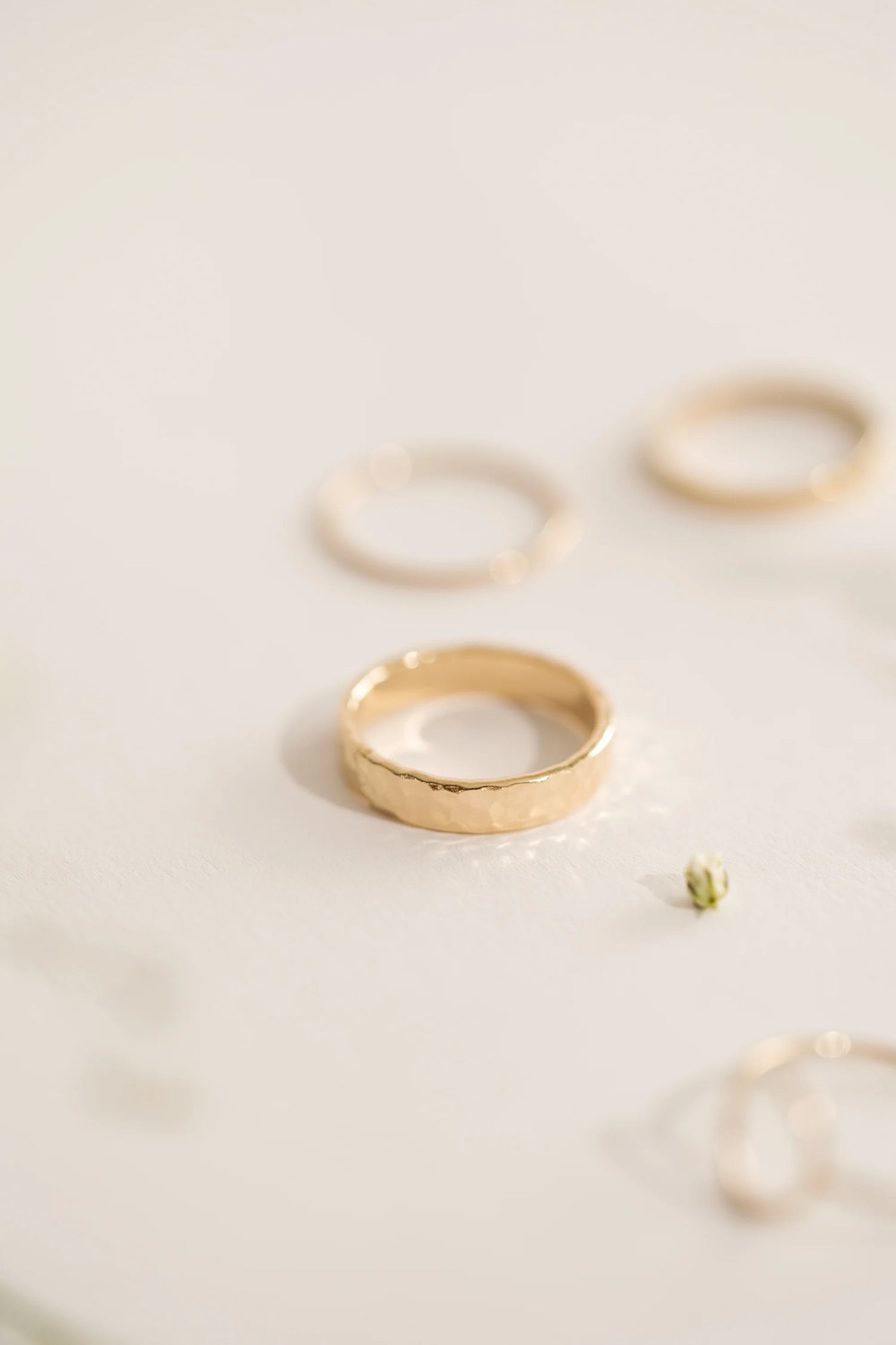 Amélia - Kali and Sun