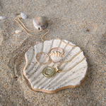 Upload Image to Gallery, Dish SEASHELL - Made Out Of Water