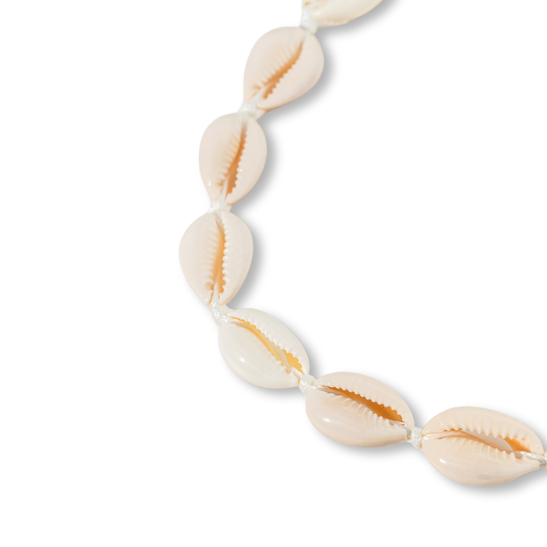 Collier - Cowrie