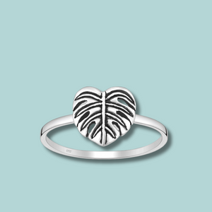 Monstera