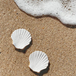Load image into Gallery viewer, Dish SEASHELL - Made Out Of Water
