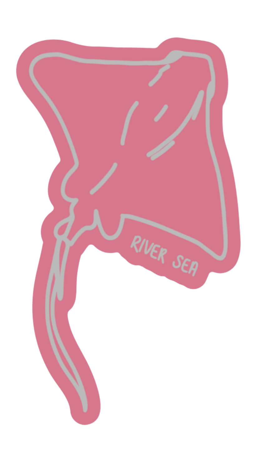 Sticker Ray
